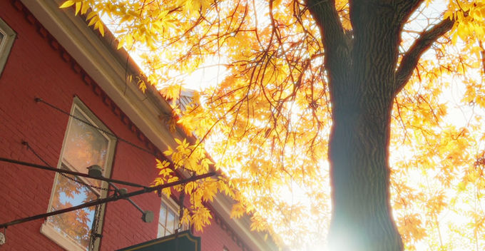 Halloween in Downtown West Chester